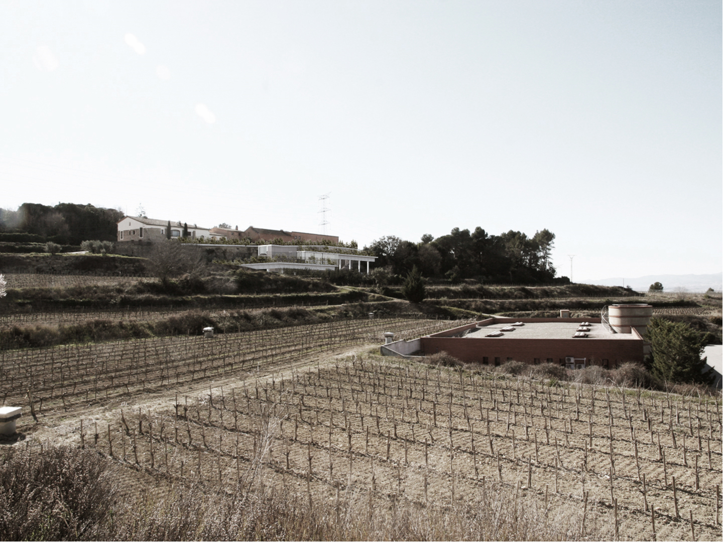 Sala Ferusic Architects The Rock in the Shadow Carles Sala Relja Ferusic