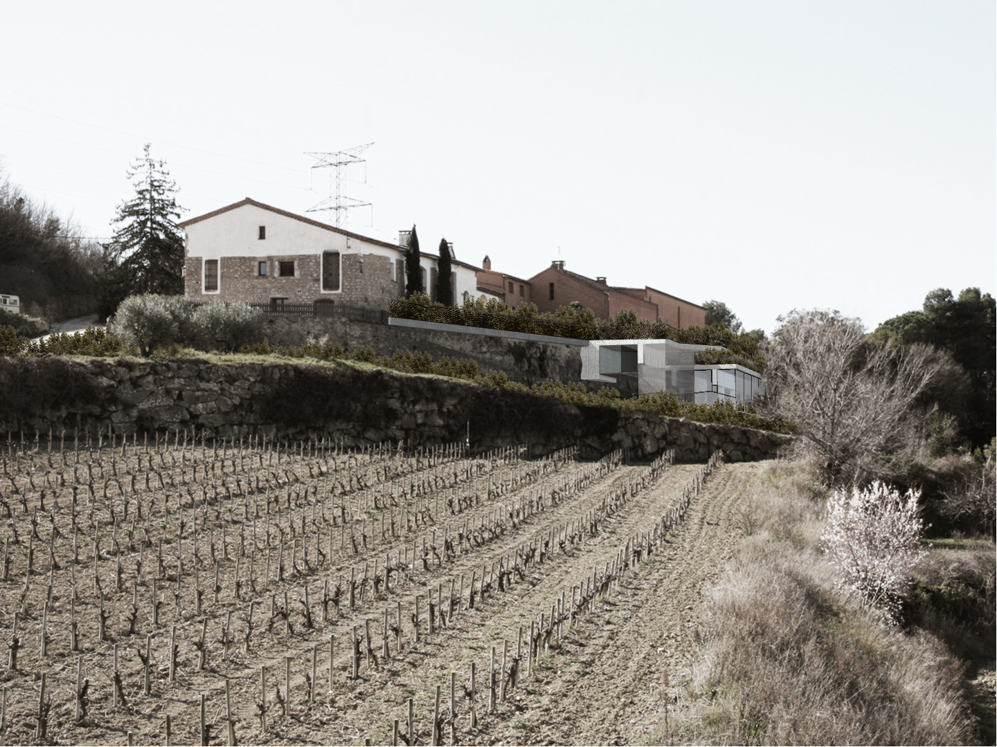 Sala Ferusic Architects The Rock in the Shadow Carles Sala Relja Ferusic