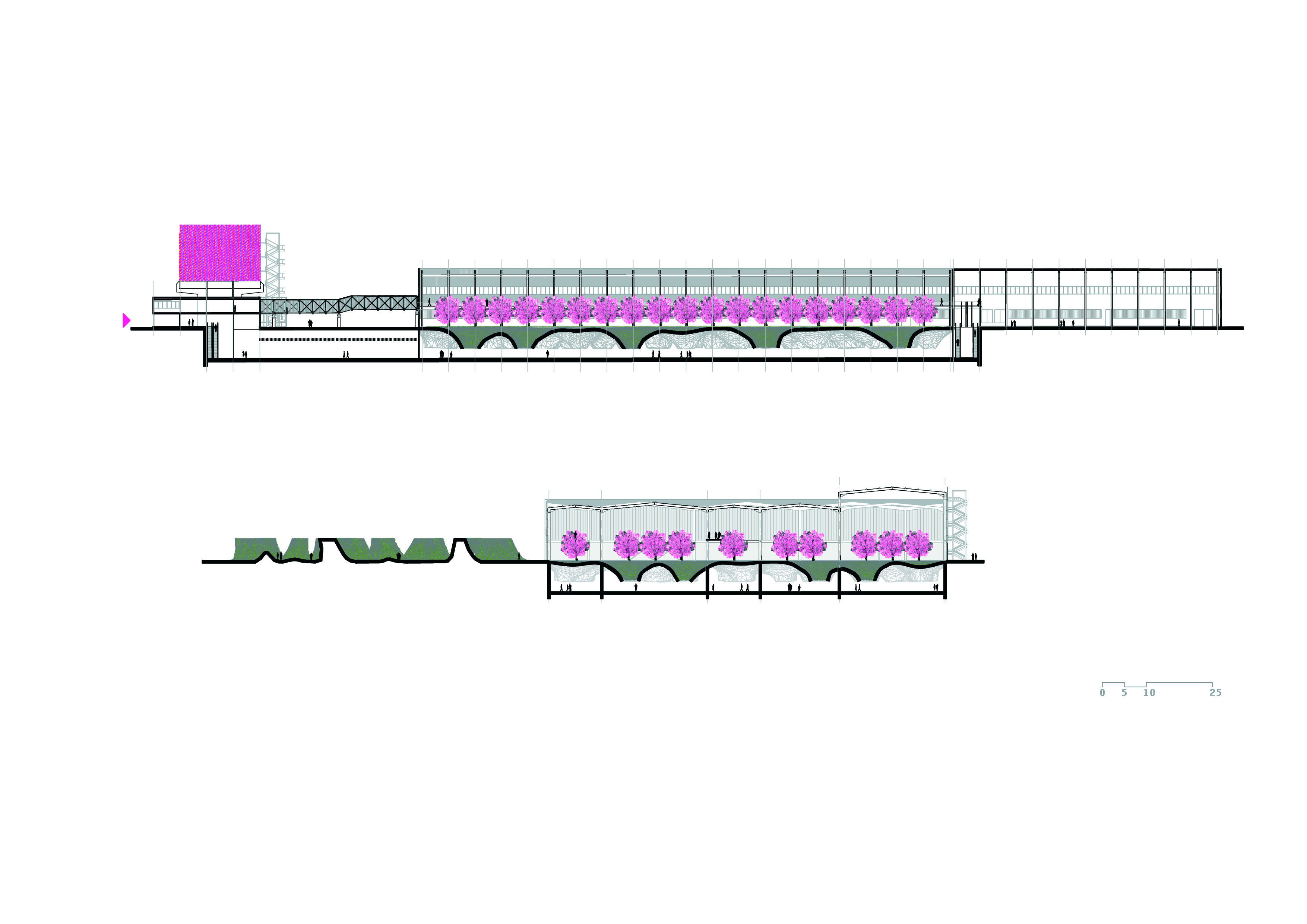 Sala Ferusic Architects Emotivne Topografije Carles Sala Relja Ferusic