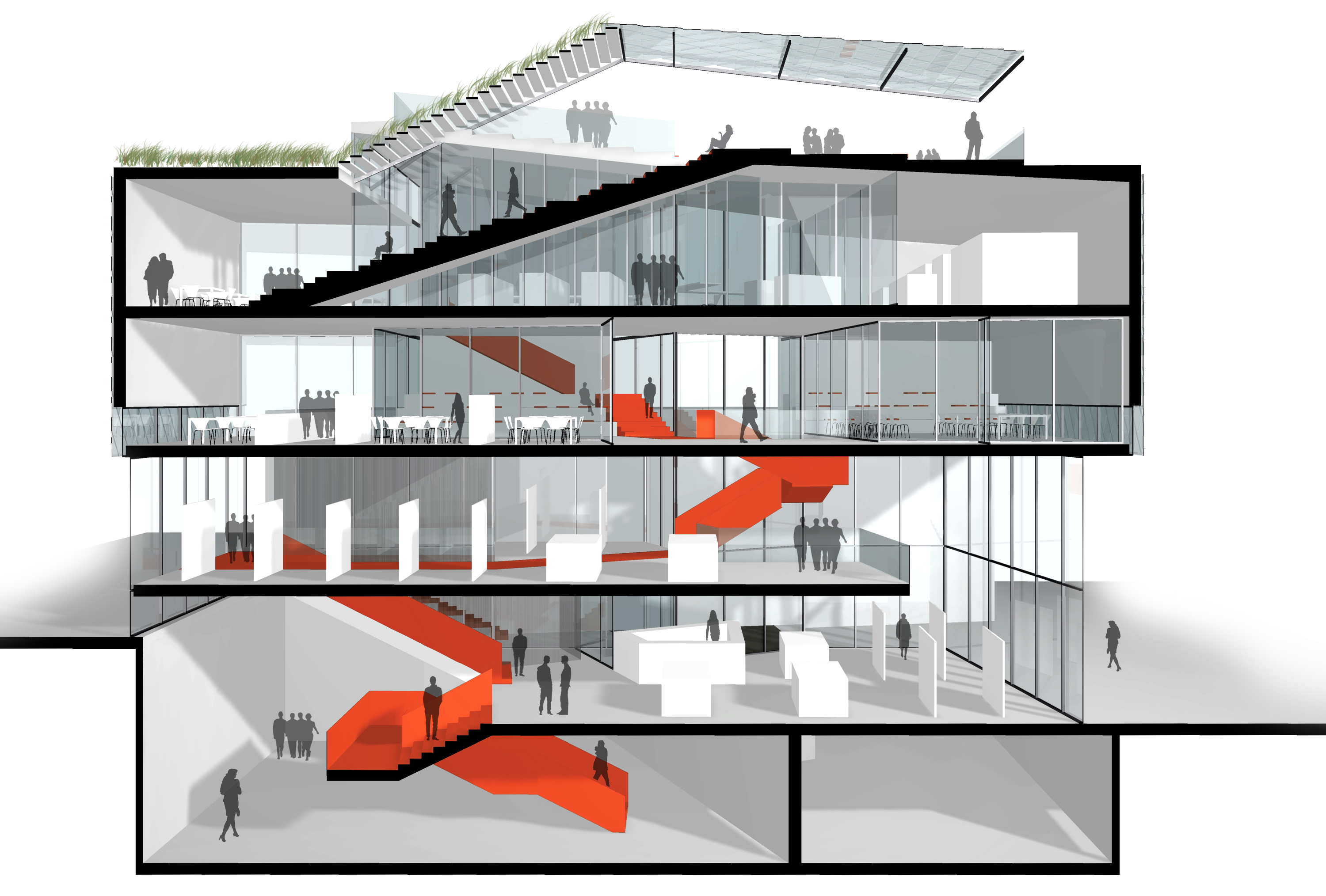 Sala Ferusic Architects Big Fish Carles Sala Relja Ferusic