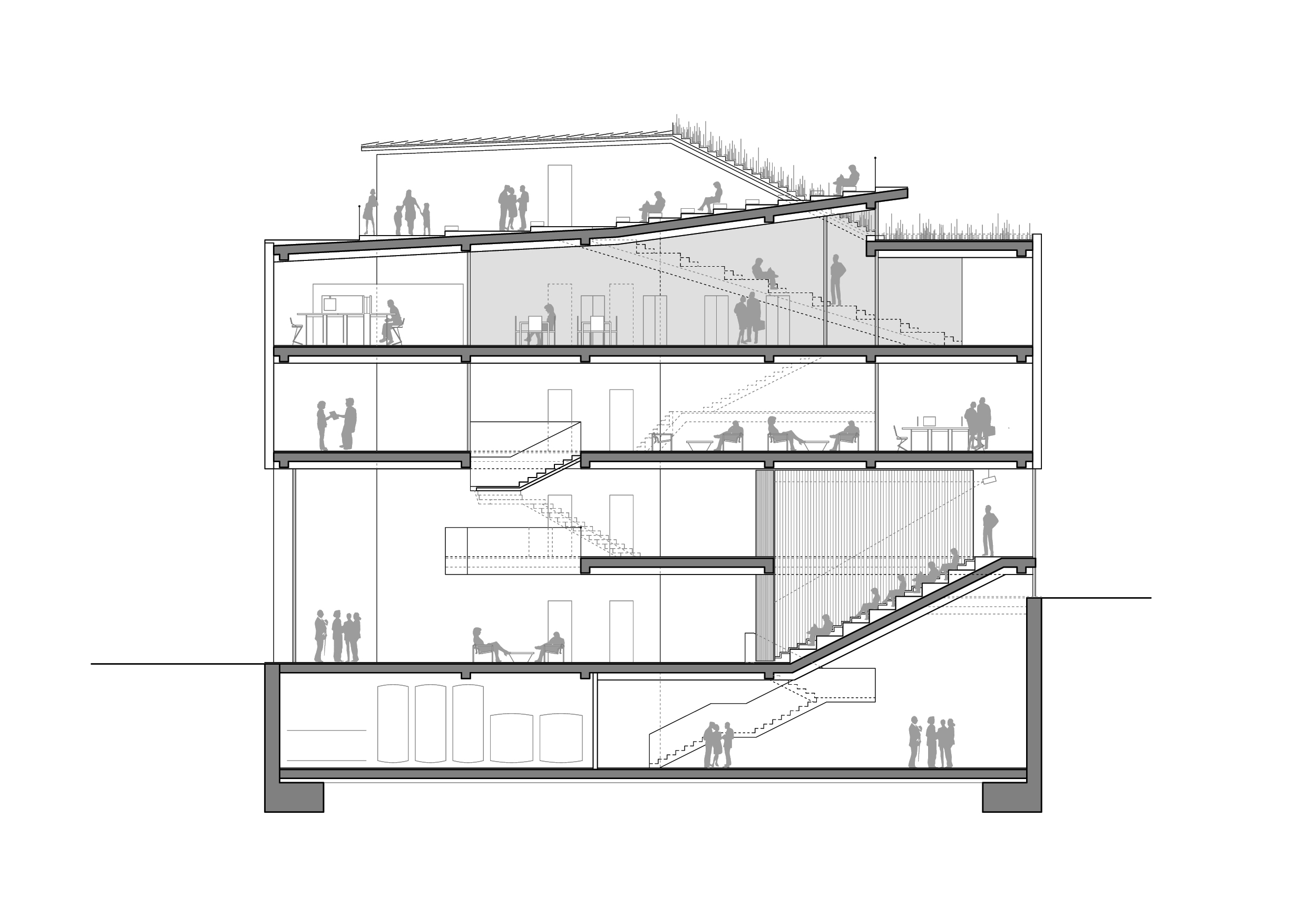 Sala Ferusic Architects Big Fish Carles Sala Relja Ferusic