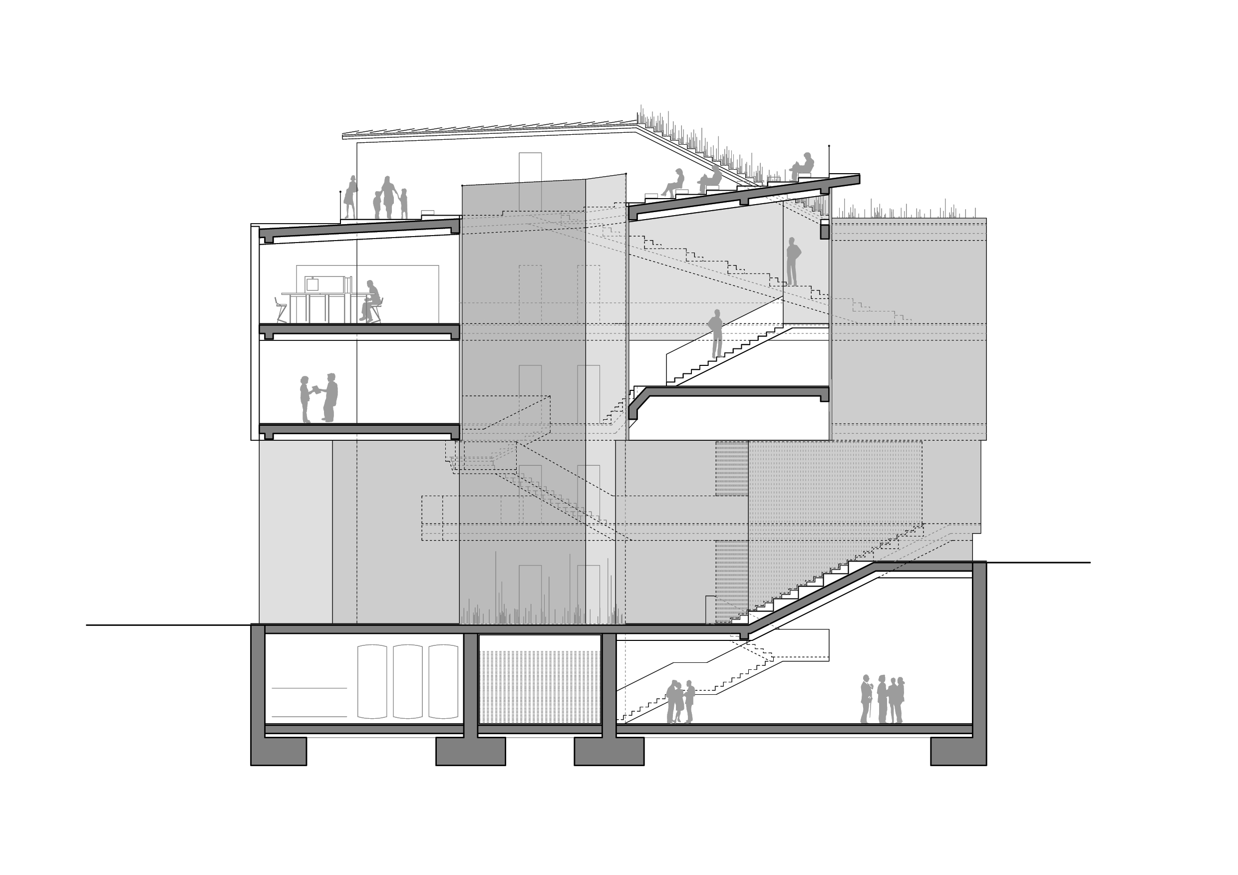 Sala Ferusic Architects Big Fish Carles Sala Relja Ferusic