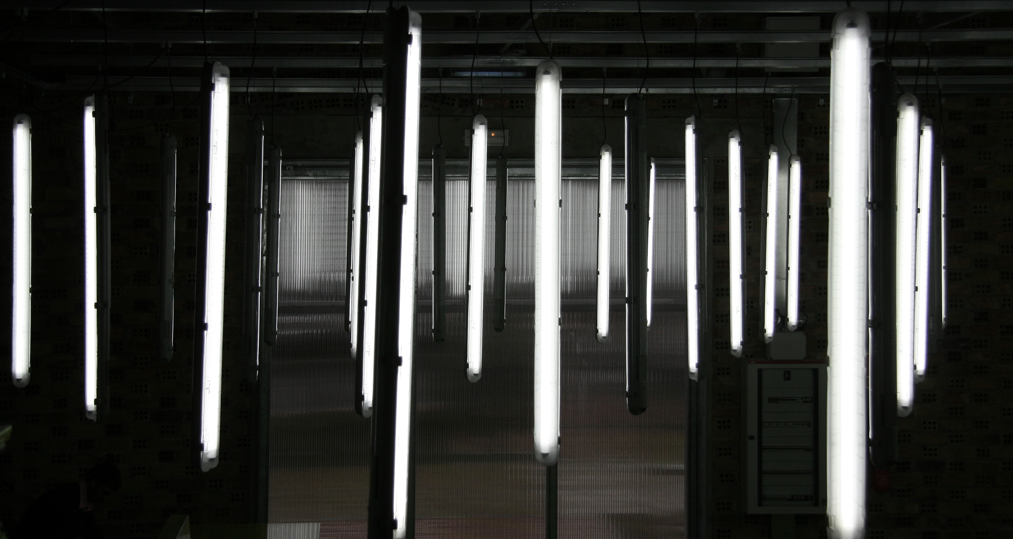Sala Ferusic Architects less (money) is more Carles Sala Relja Ferusic