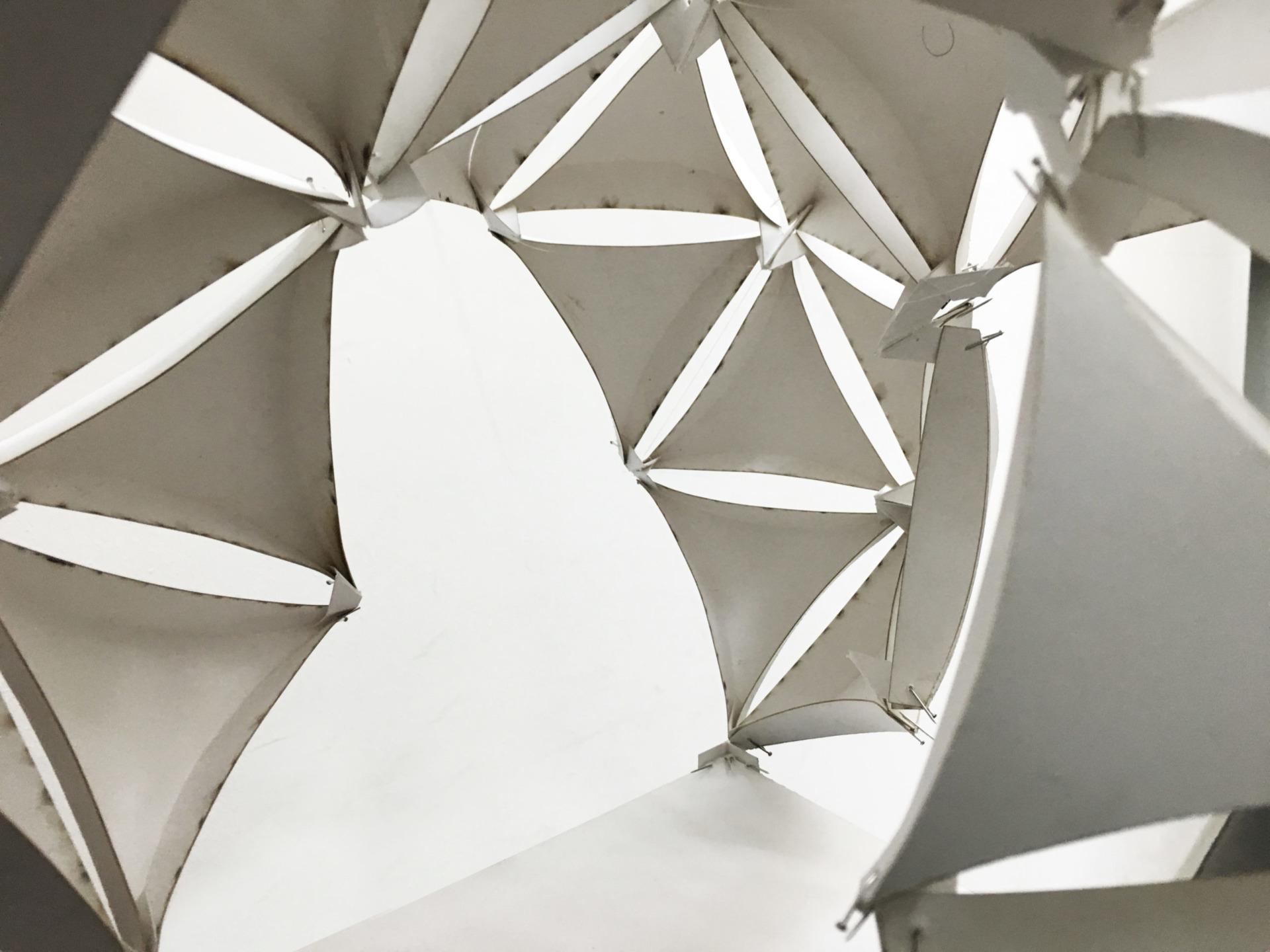Sala Ferusic Architects Y-Tree Carles Sala Relja Ferusic