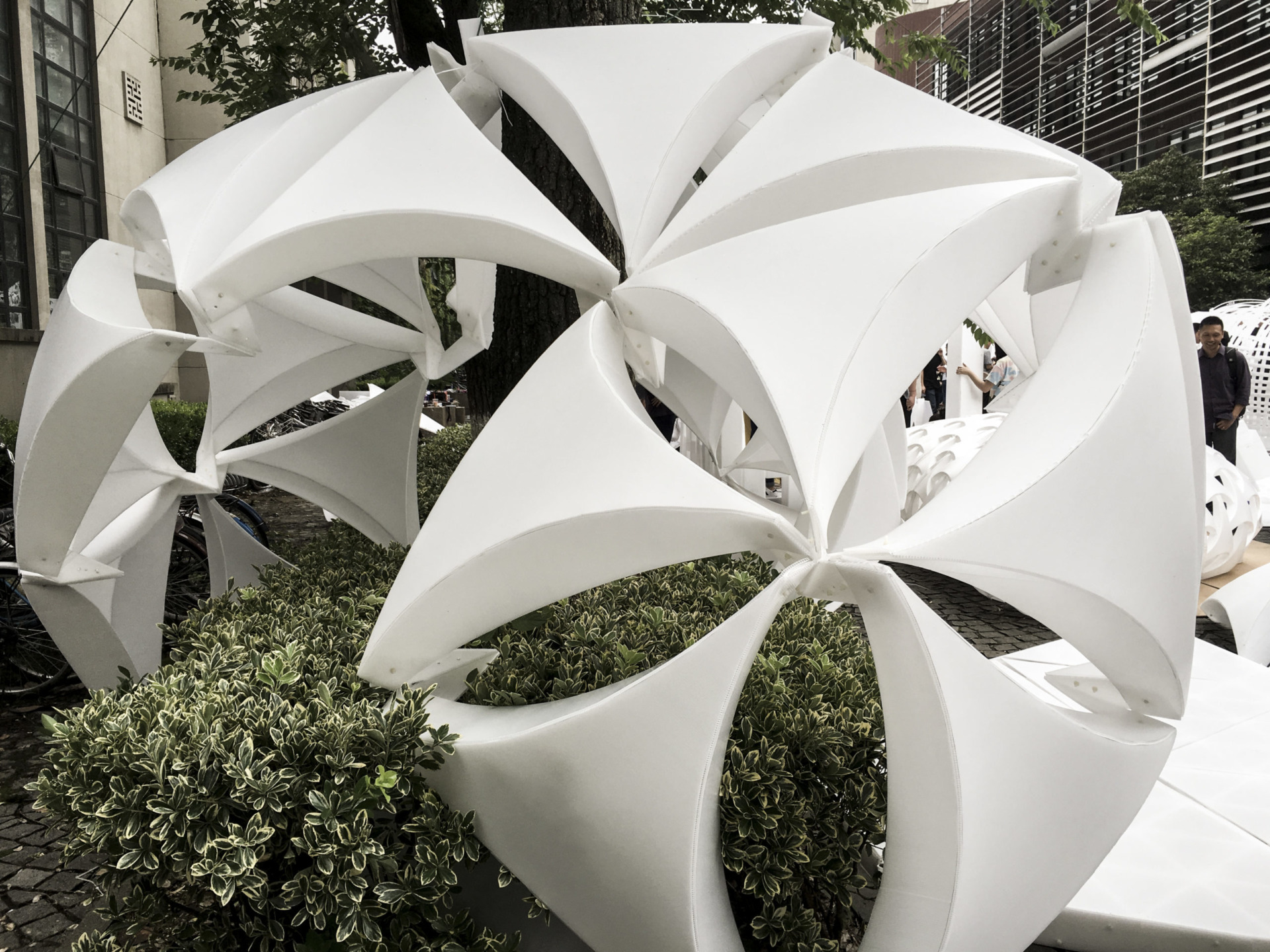 Sala Ferusic Architects Y-Tree Carles Sala Relja Ferusic