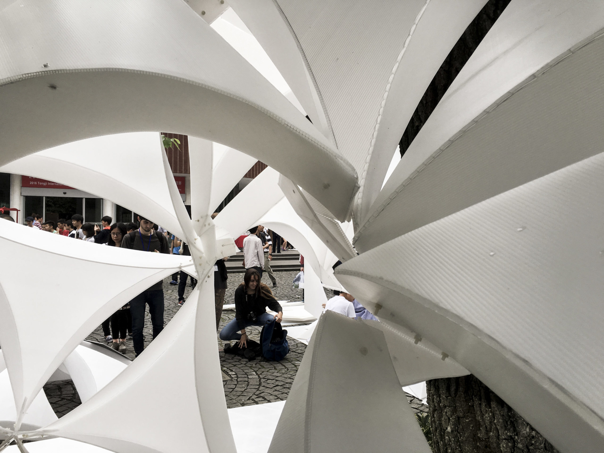 Sala Ferusic Architects Y-Tree Carles Sala Relja Ferusic